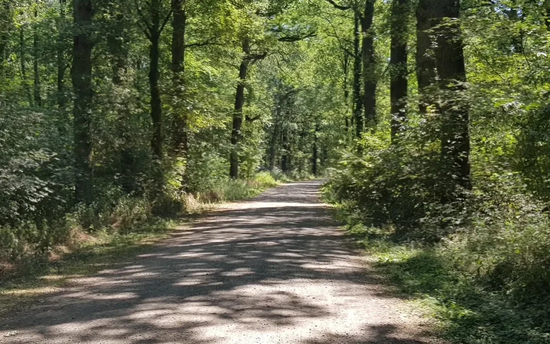 Netherlands Gravel & Bikepacking Adventure (7 days)