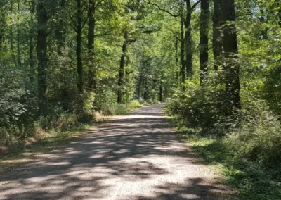 Netherlands Gravel & Bikepacking Adventure (7 days)