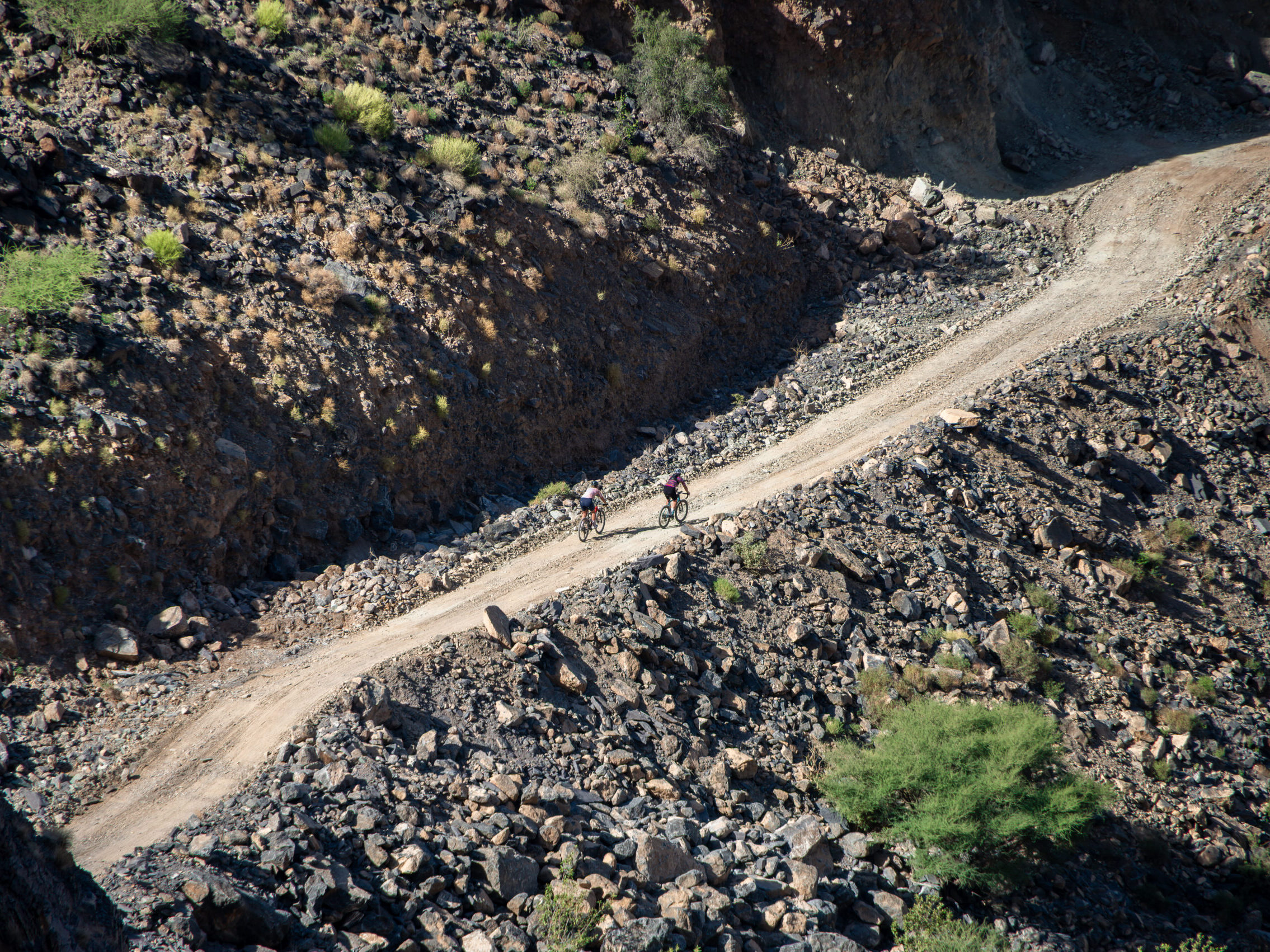 aerial shot